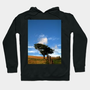 Tree on a Hill Hoodie